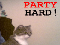 Partyhard_cat1.gif