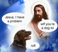 495_jesus-and-dog.gif