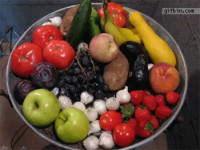 1296151218_fruit-and-vegetable-decomposing-74-days.gif