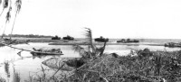 Japanese tanks knocked out by 37 mm guns near the mouth of the Matanikau River, Guadalcanal.gif