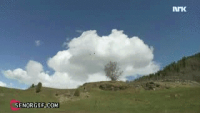 flying by norway.gif