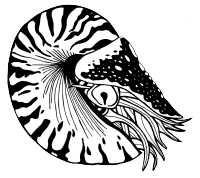 Chambered-Nautilus.gif