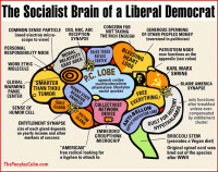 the-socialist-brain-of-a-liberal-democrat.gif