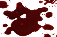 3-Shadows-Blood-brush-Sets.jpg.gif