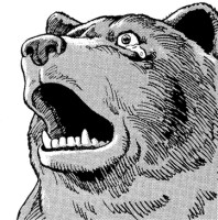 281-reaction-bear.gif