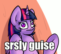 514554__safe_solo_twilight+sparkle_animated_meme_p.gif