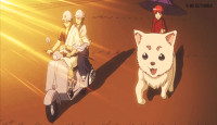 gintama-03.gif