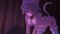 neko-echi.gif