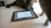 ipad-1527846.gif