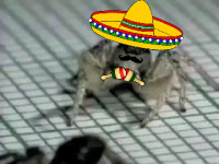 d8c26c391da99f85c0364416c3965736.gif