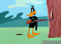 daffy-duck_o_452114.gif