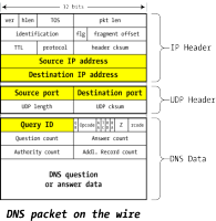 dns-query-packet.gif