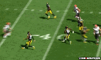 karatesteeler.0.gif