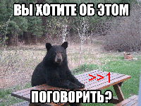 вы-хотите-поговорить-об-это.gif