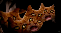 demon-cat-run-the-jewels-meowpurrdy.gif