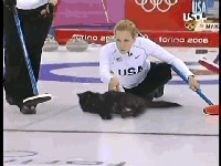 cat-curling.gif