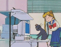 sailor-moon-cat-typing-computer.gif