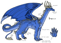 1208255962.raspberrymaggot_draccis_character_sheet_by_nightmarehound.jpg