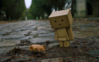 danbo.jpg