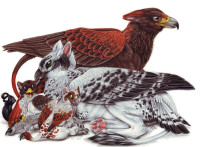 1229769868.bloodhoundomega_gryphon_family_portrait.jpg