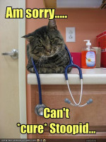 cat-says-your-disease-is-incurable.jpg