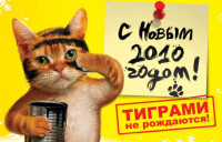 832d75268f47150b583a102b172_prev.jpg