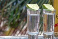 tequila_DW_Berlin_B_184439g1.jpg