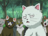 18] Gintama 190.mkv_20100112_142813.jpg