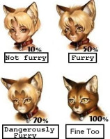 neka-furry-cat.jpg