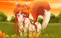 Konachan.com - 53541 horo spice_and_wolf.jpg