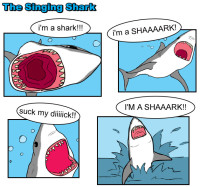 im_a_shark.jpg