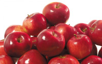 apples_009.jpg