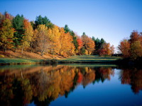 fallcolor27.jpg