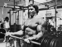 arnold-schwarzenegger.jpg