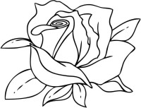 how-to-draw-a-cartoon-rose-step-6.jpg