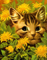 026 - Cat in the flowerbed.jpg