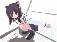 Konachan.com - 26190 animal_ears catgirl headphones white.jpeg