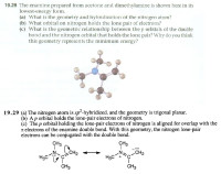 nitrogen atom.jpg