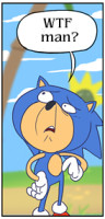 wtf_sonic.jpg