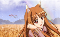 Konachan.com - 39918 horo spice_and_wolf.jpg