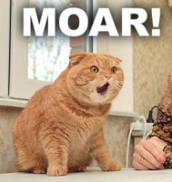 moarrrr.jpg