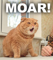 MOAR9.jpg
