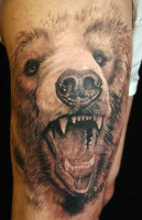 GRIZZLYBEARcloseupgeneraldetailedANIMAL-tattoo-bits-Sflashdesigns-tattoo-bits-picturesgallery-tattoo-bits-19.gif.jpg