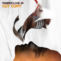 fabriclive29.jpg