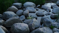 stones_by_photoframa-d2xttyv.jpg