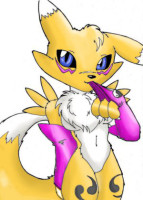 col_renamon.jpg