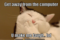 laughing-cat.jpg