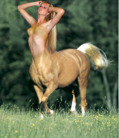 centaur_by_stanfordblonde.jpg