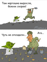 yoda04.jpg