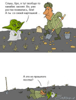 yoda06.jpg